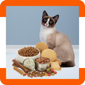 Animaux de compagnie