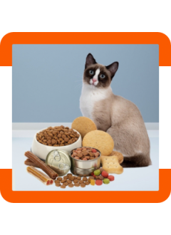 Animaux de compagnie