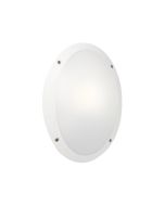 Hublot Ovale Blanc IP66 LED 12W 1000Lm