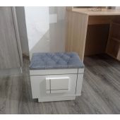 Pouffe Coffre Design avec Assise Capitonnée